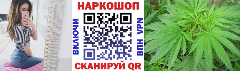 Наркота Чегем Бошки Шишки  Alpha PVP  ГАШ  МЕФ  Амфетамин  Cocaine 
