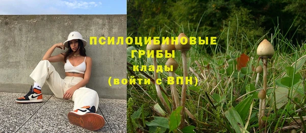 ПСИЛОЦИБИНОВЫЕ ГРИБЫ Медногорск