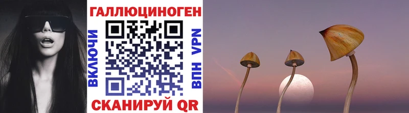 Псилоцибиновые грибы прущие грибы  купить  цена  Чегем 
