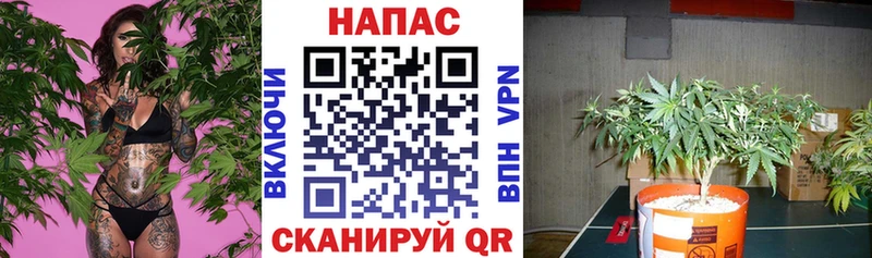Шишки марихуана Amnesia mega зеркало Чегем